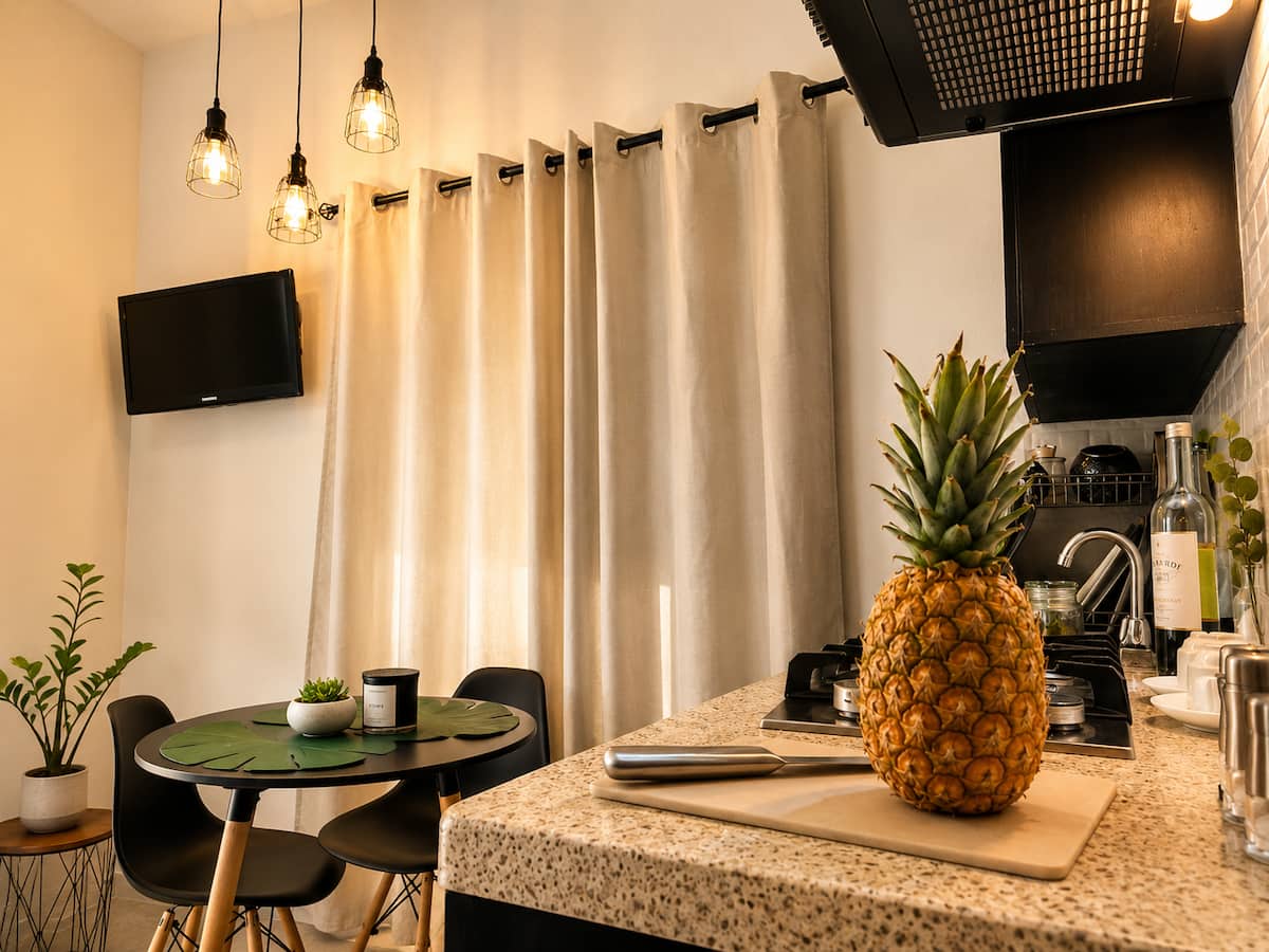 Interior del apartamento 103